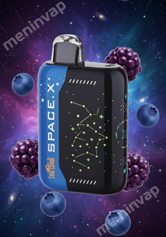 Space X Blackberry Blueberry Sea Somk vape desechable sabor moras