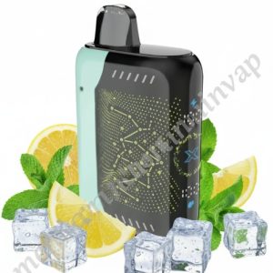 Space X Miami Mint Sea Somk vape desechable sabor menta fresca