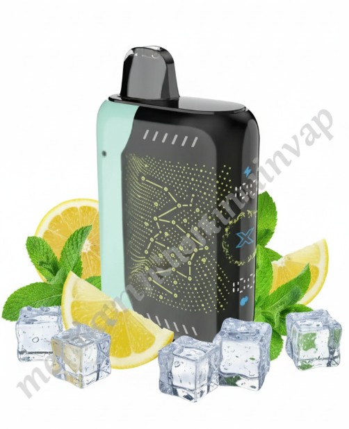 Space X Miami Mint Sea Somk vape desechable sabor menta fresca